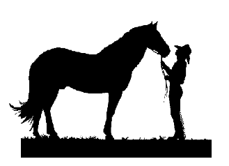 Láska ke koním